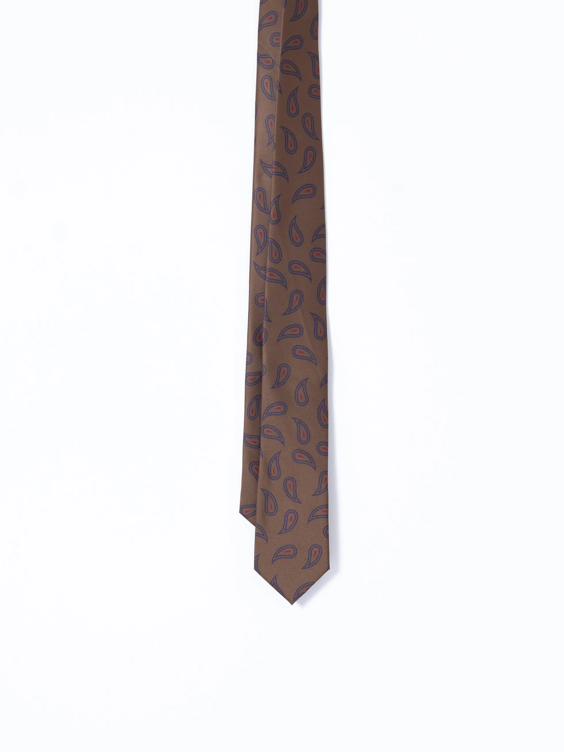 CORBATA AMEBAS MARRÓN - Image 3
